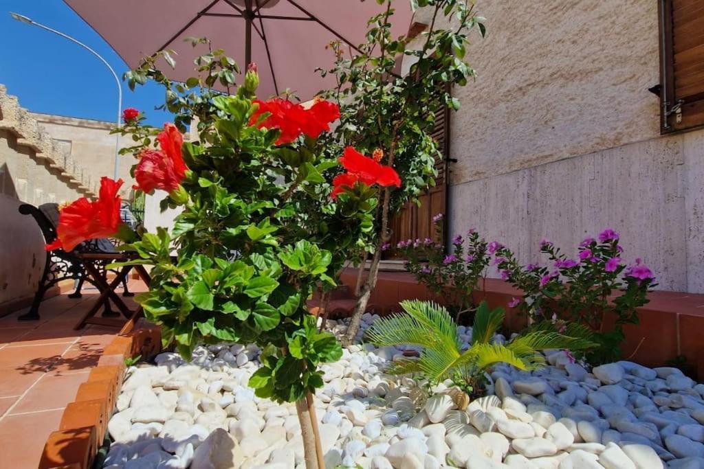 La Cava Di Sasa Villa Favignana Ngoại thất bức ảnh